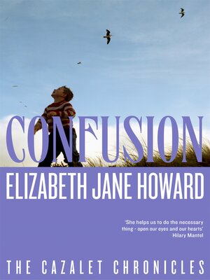 Confusion - ebook